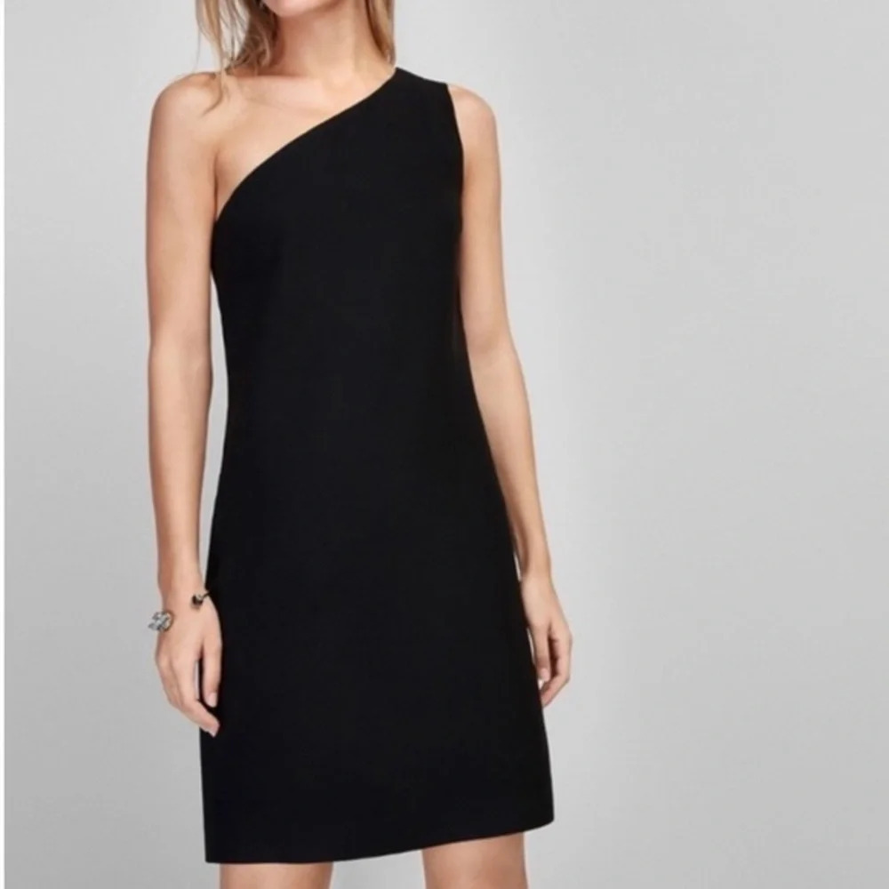 Massimo Dutti Aritzia Dress